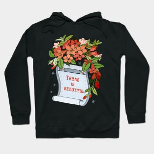 Trans Is Beautiful Hoodie